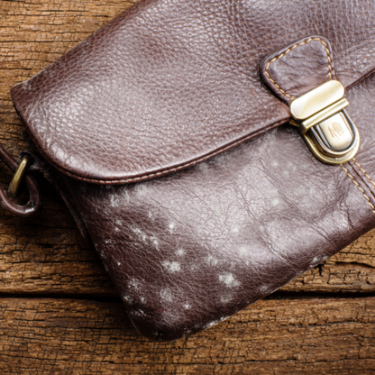 Servicio para Carteras: Limpieza Profunda, Eliminación de Hongos y Desinfección Especializada